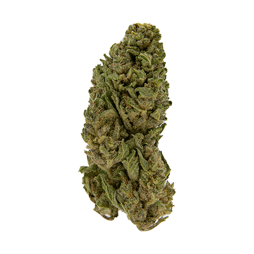 Eighthz - Town Cookies (H) - 3.5g